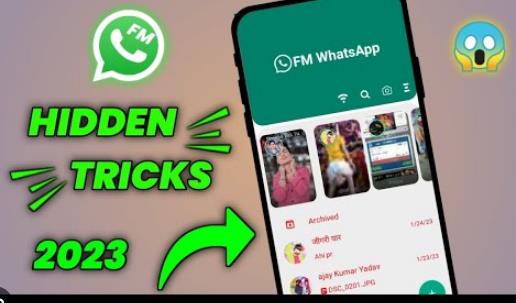 Navigating the Advanced Settings of FM WhatsApp